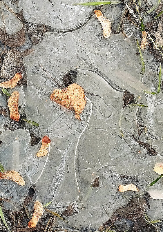 Словно... картина! - Валентина Нефёдова Словно... картина! - Валентина Нефёдова