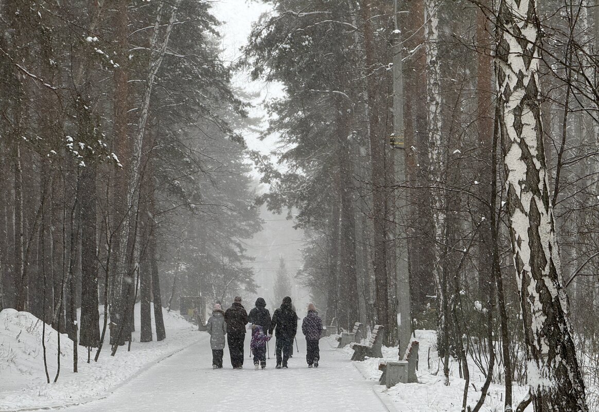 Снежная симфония: прогулка в парке. - Сергей Адигамов Снежная симфония: прогулка в парке. - Сергей Адигамов