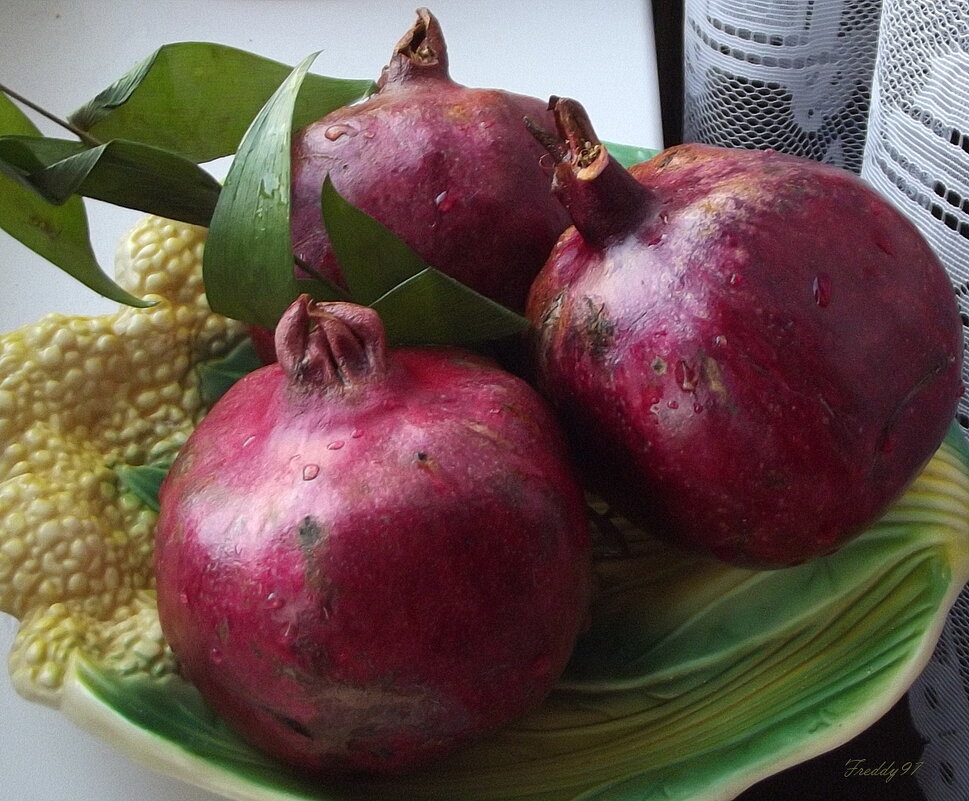 Витамины к зиме... - Freddy 97 Витамины к зиме... - Freddy 97