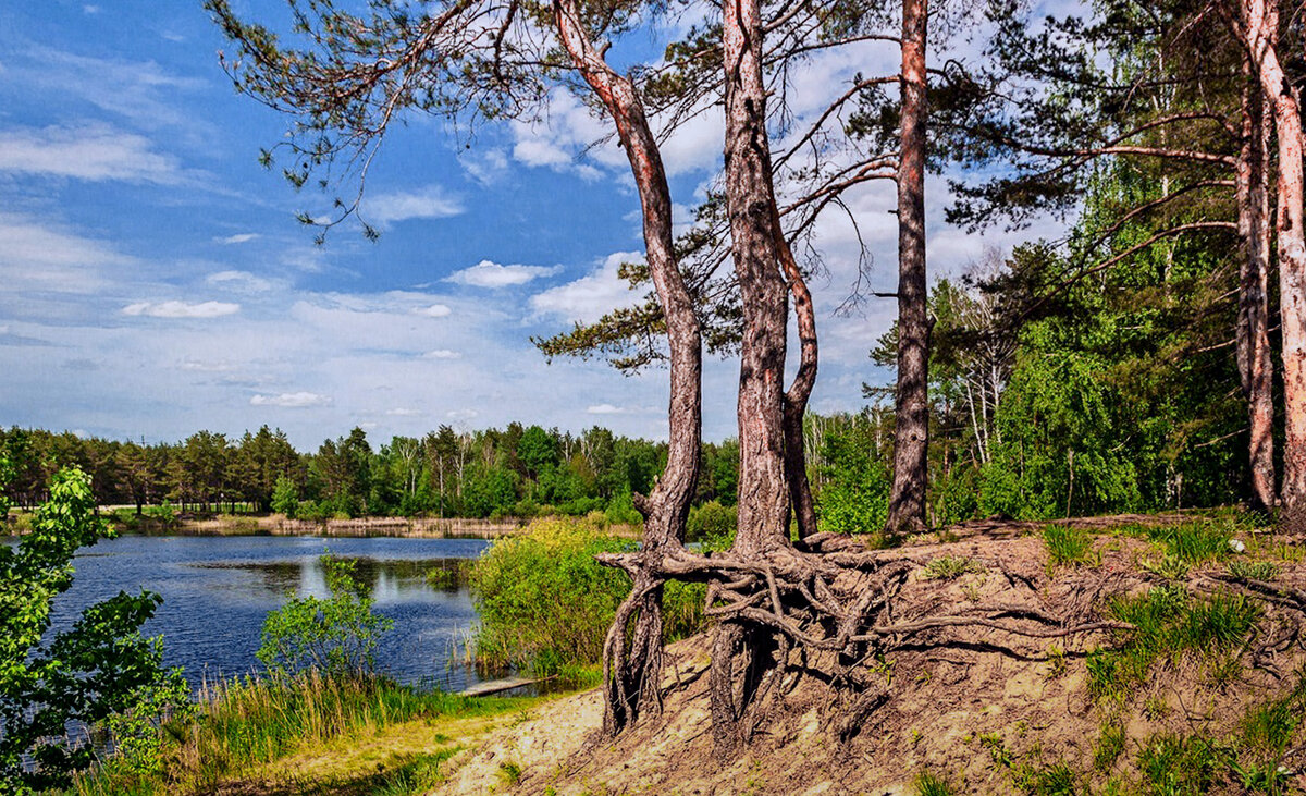 Лесное озеро - Александр Тулупов