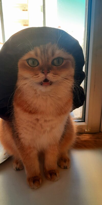 Мурка - Мария Гуськова