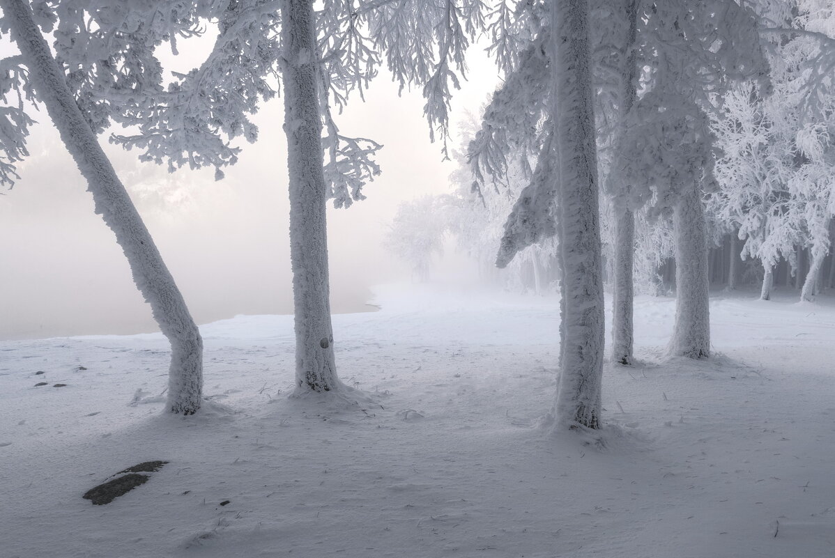 Морозная зима - Марина Фомина.