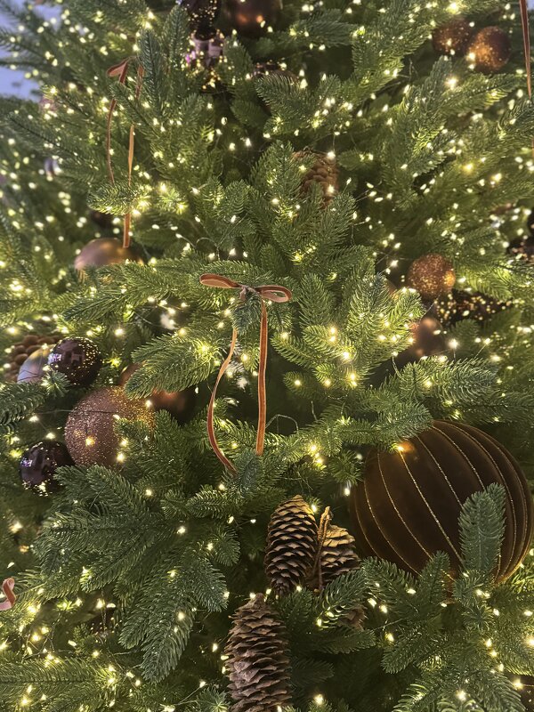 Елка - Анна Камс Елка - Анна Камс