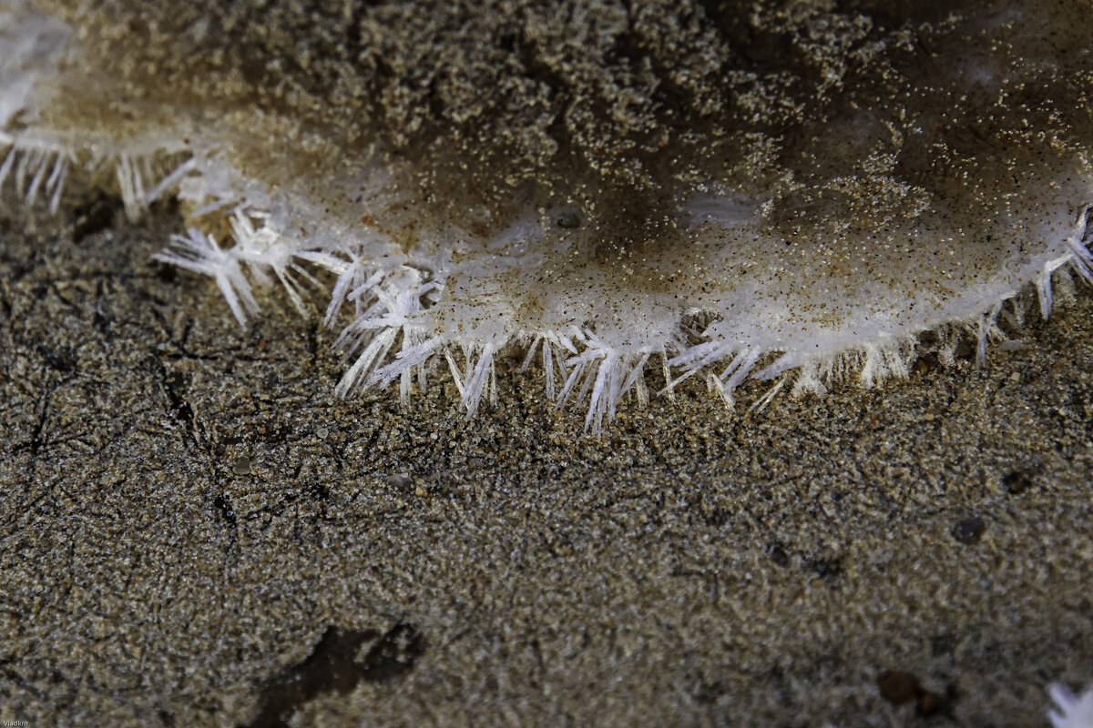 Берег Финского залива - Vlad Krrr Берег Финского залива - Vlad Krrr