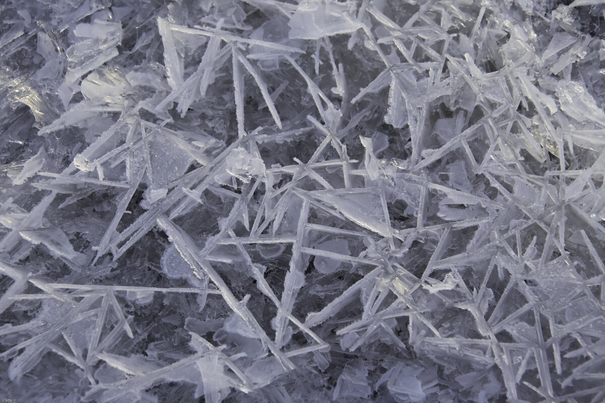 Берег Финского залива - Vlad Krrr Берег Финского залива - Vlad Krrr