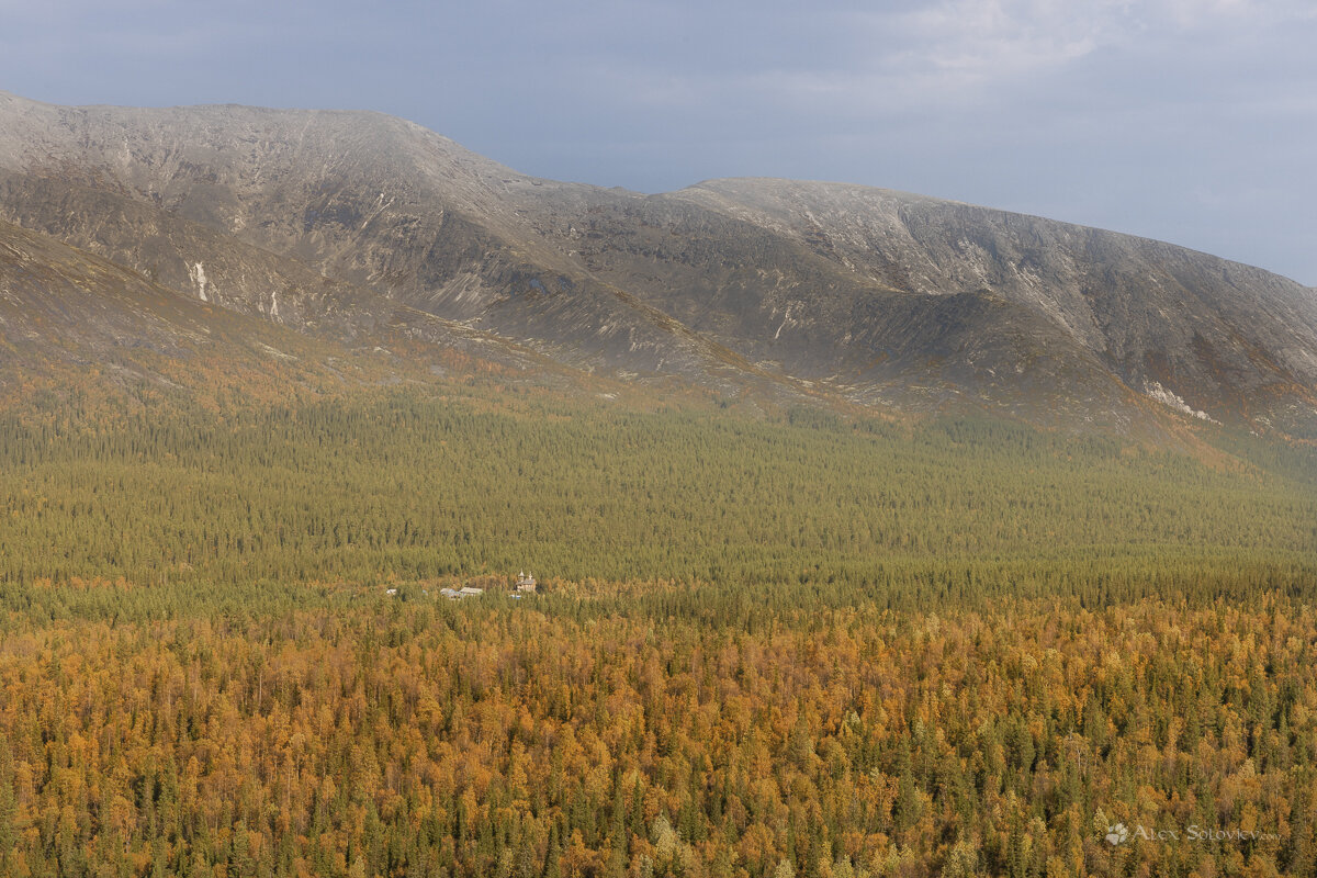**** - Алексей Соловьев