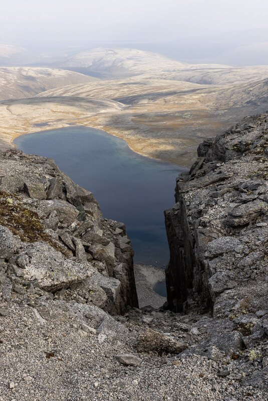 **** - Алексей Соловьев