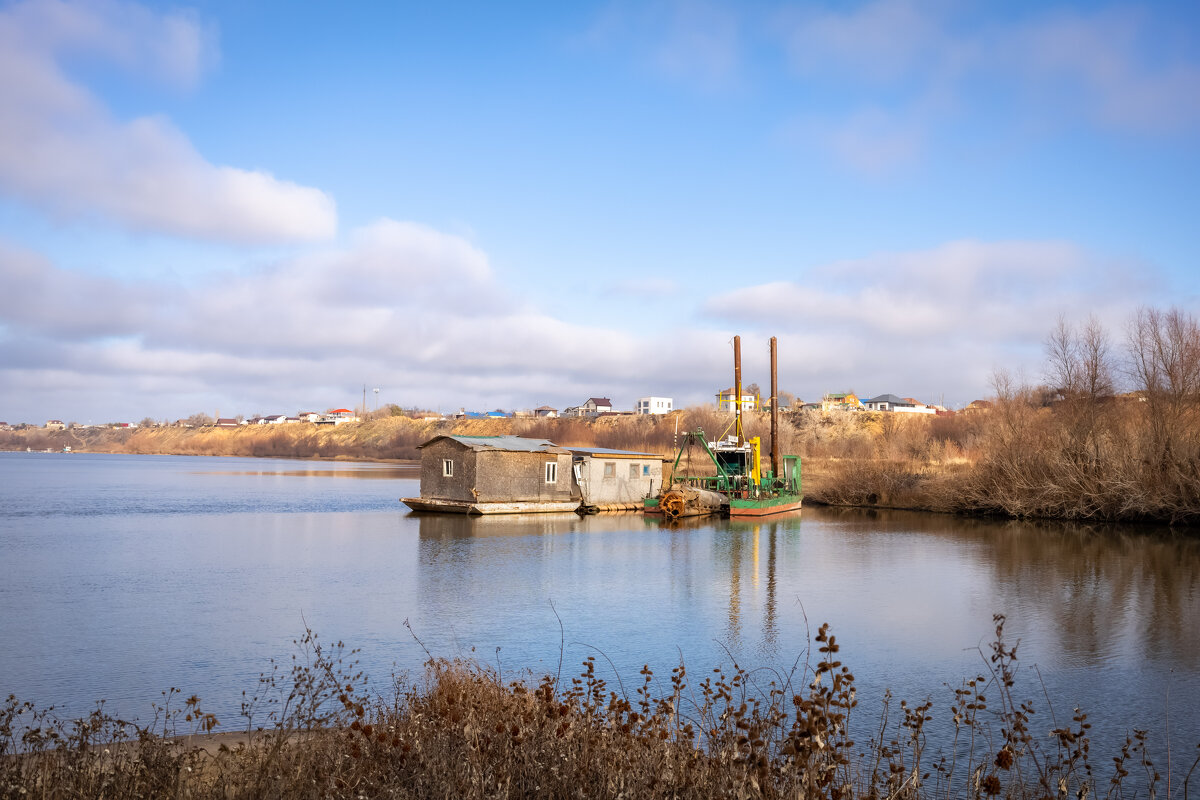 Волго-Ахтубинская пойма. Декабрь 2025 - Олег Дорошенко Волго-Ахтубинская пойма. Декабрь 2025 - Олег Дорошенко