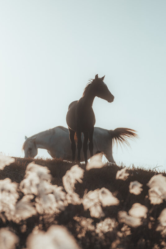 За городом - Дмитрий 