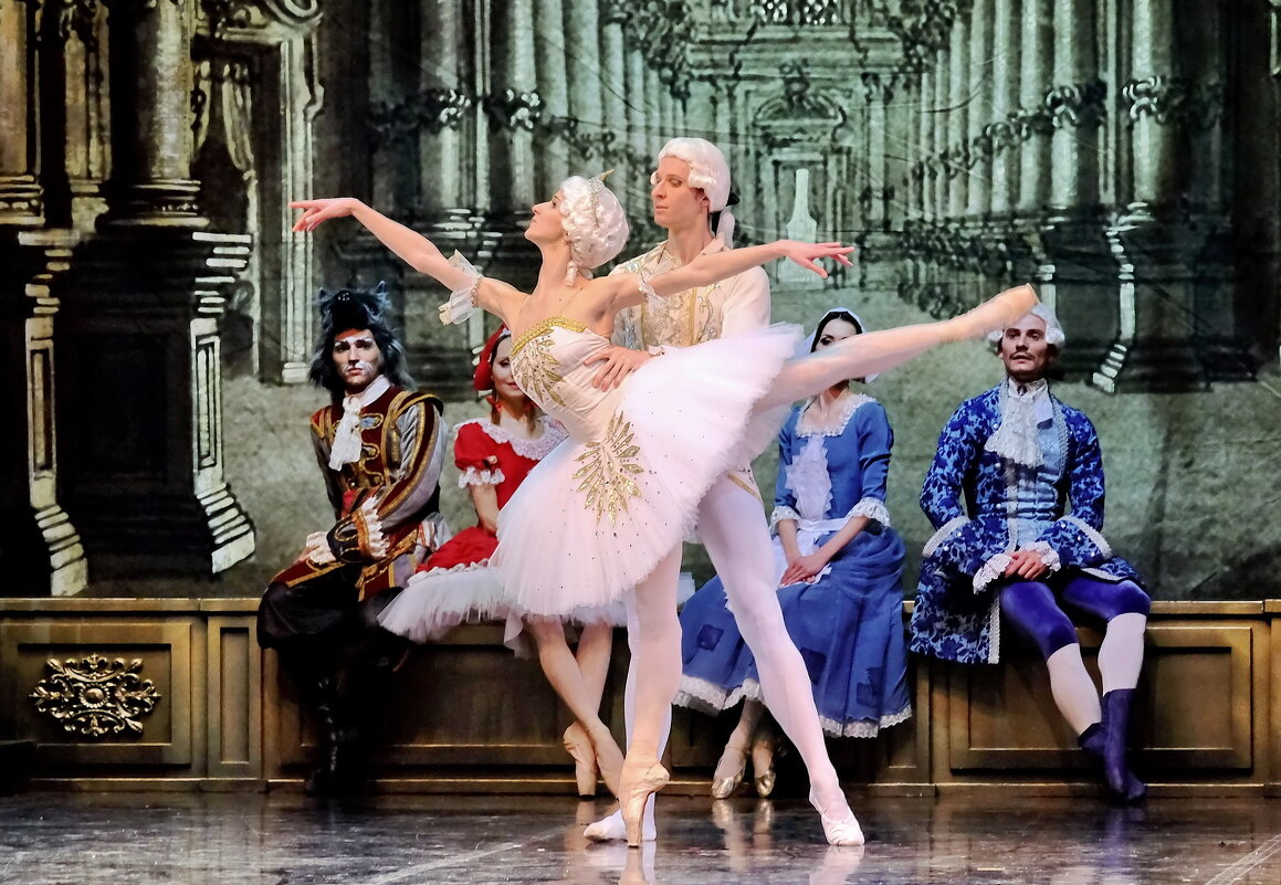 Сцена из балета "Спящая красавица" - Валерий Судачок Сцена из балета "Спящая красавица" - Валерий Судачок