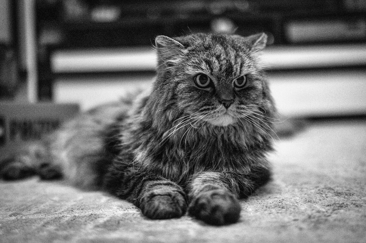 Удивляюсь и негодую одновременно ;-) - Алексей Пышненко Удивляюсь и негодую одновременно ;-) - Алексей Пышненко