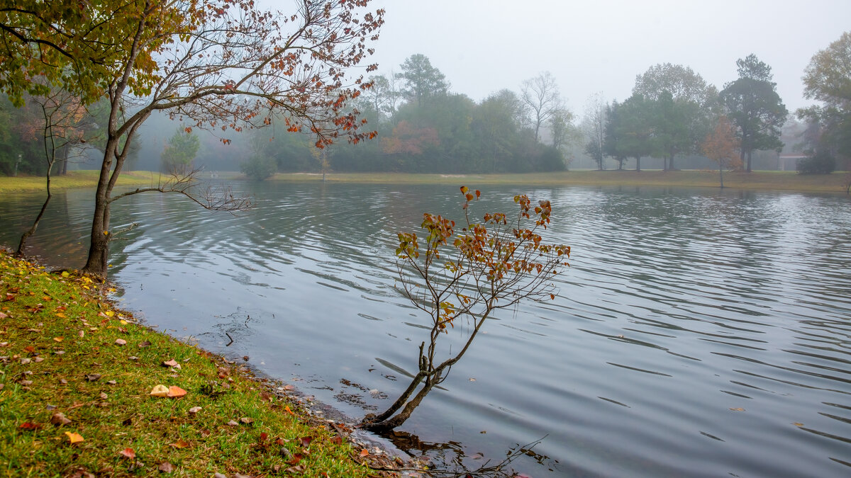 Утро - **** vedin