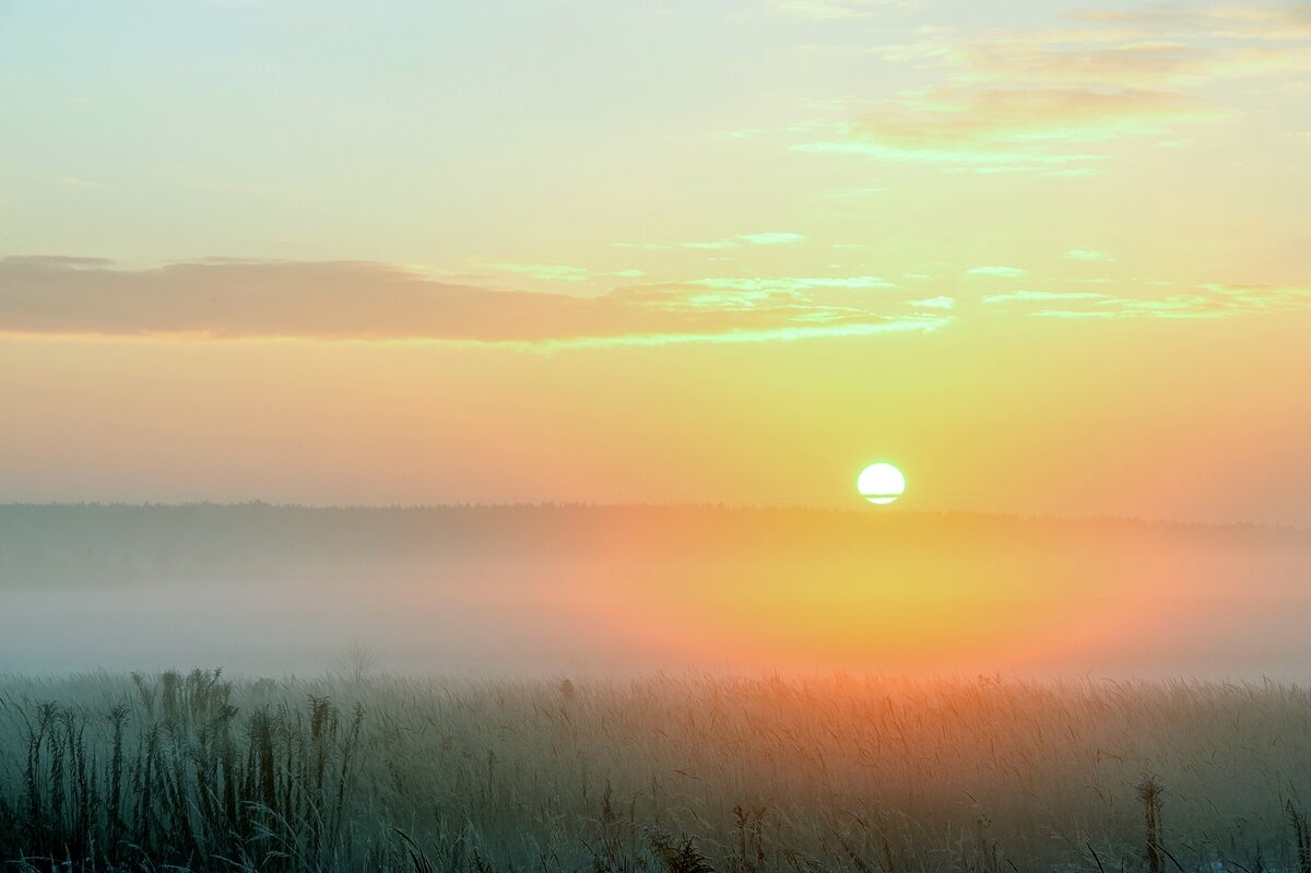 Декабрьский туман - Валерий Иванович Декабрьский туман - Валерий Иванович