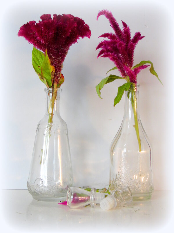 Он и Она. - nadyasilyuk Вознюк