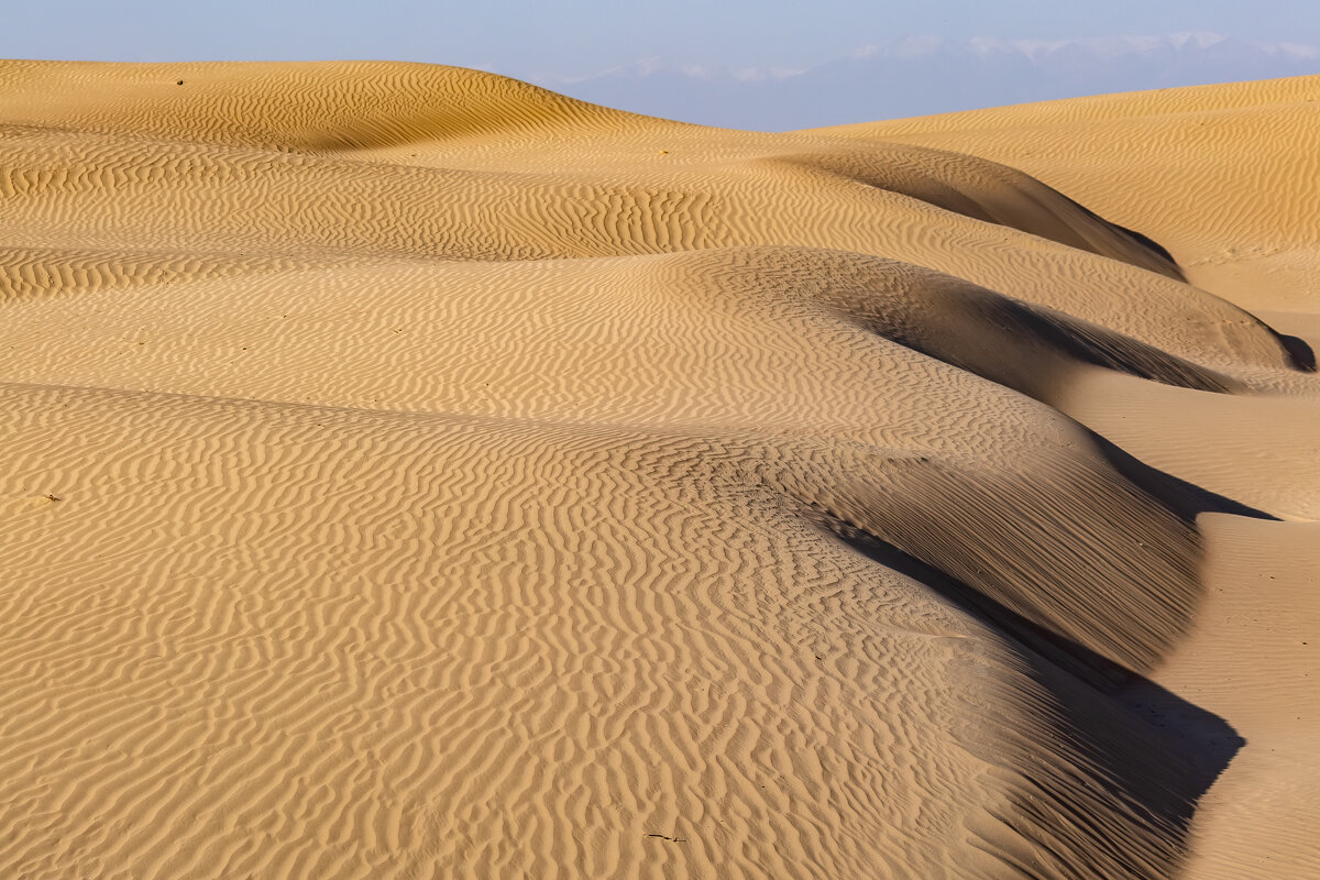 Казахстан - Андрей Щукин