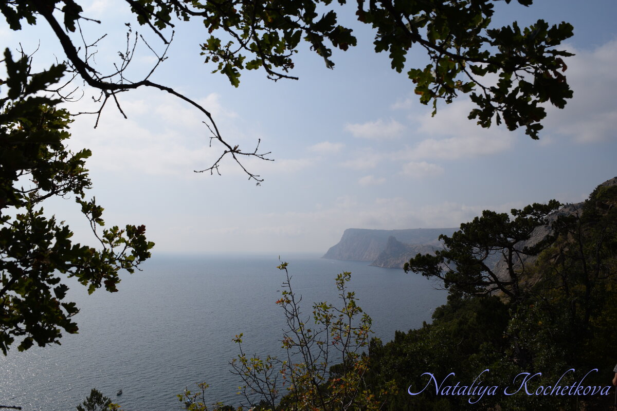 Природа Крыма - Amazing Cosmea