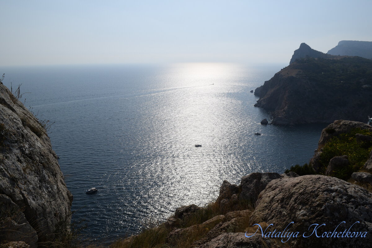 Природа Крыма - Amazing Cosmea