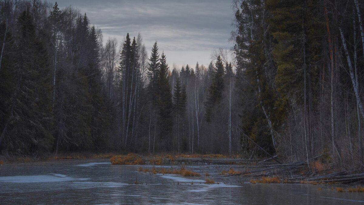 первые заморозки - Михаил Славный