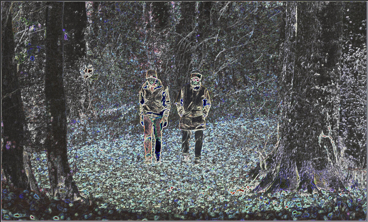 ДВОЕ ВЫШЛИ ИЗ ЛЕСА-лредновогодняя шутка... - Elvira E. 