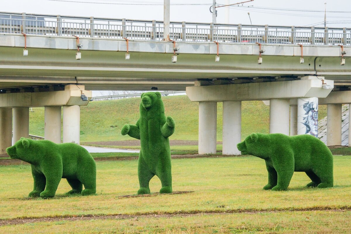 _______ - Галина Ложечникова
