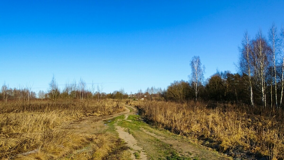 Зима, похожая на осень. - Милешкин Владимир Алексеевич Зима, похожая на осень. - Милешкин Владимир Алексеевич