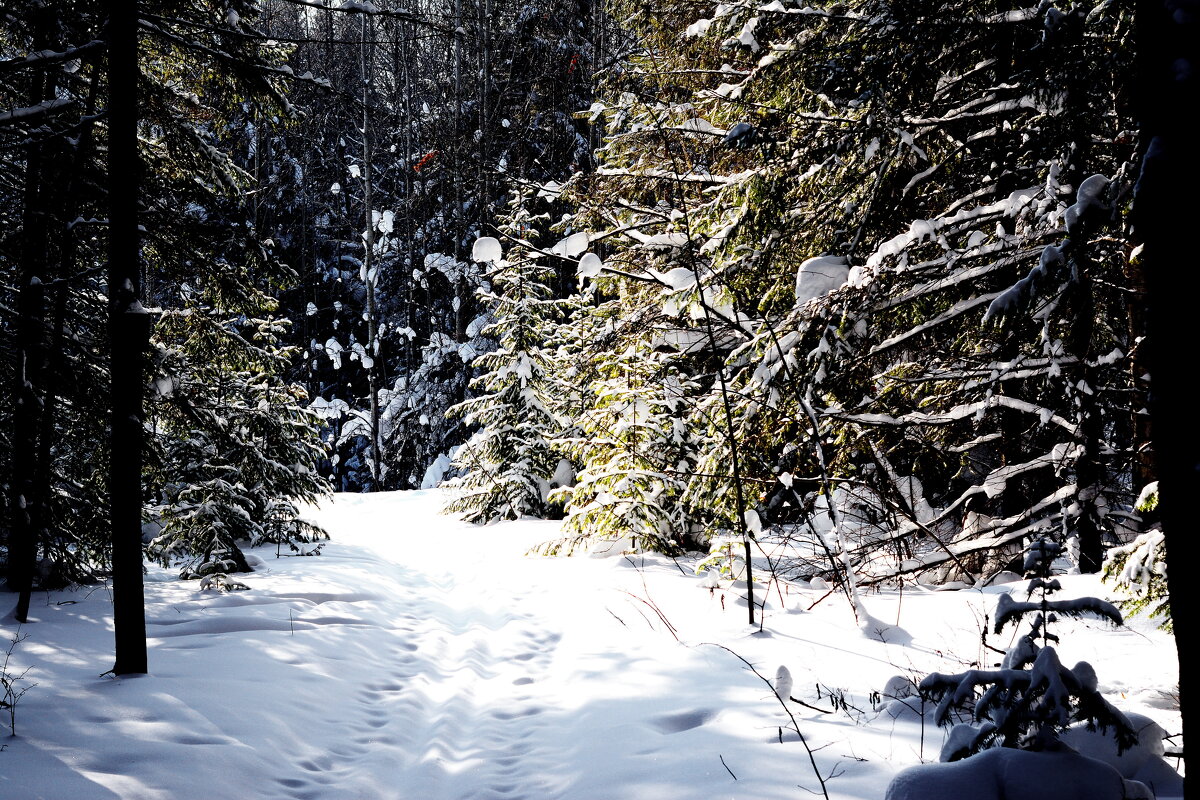 *** - Александр *** - Александр