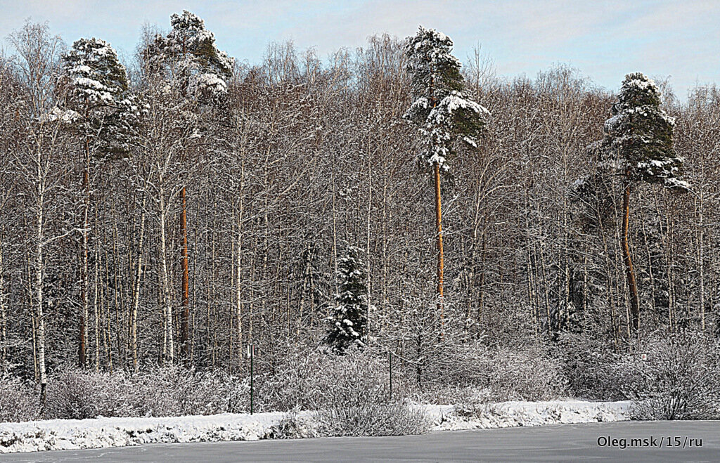 оттенки зимы - Олег Лукьянов оттенки зимы - Олег Лукьянов