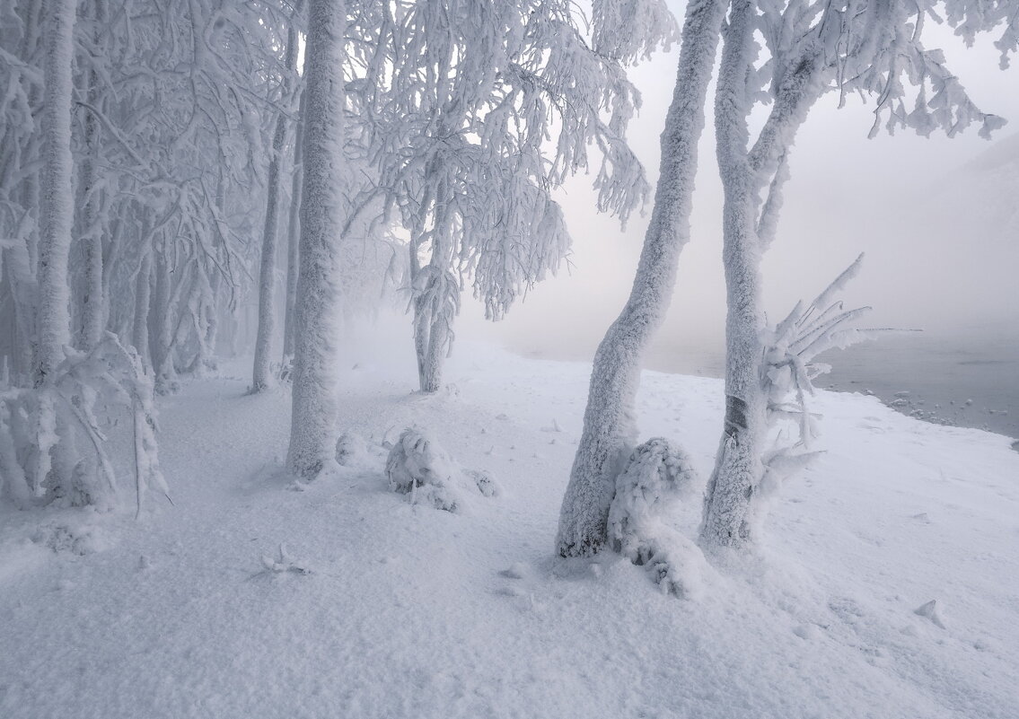 У парящей реки - Марина Фомина.