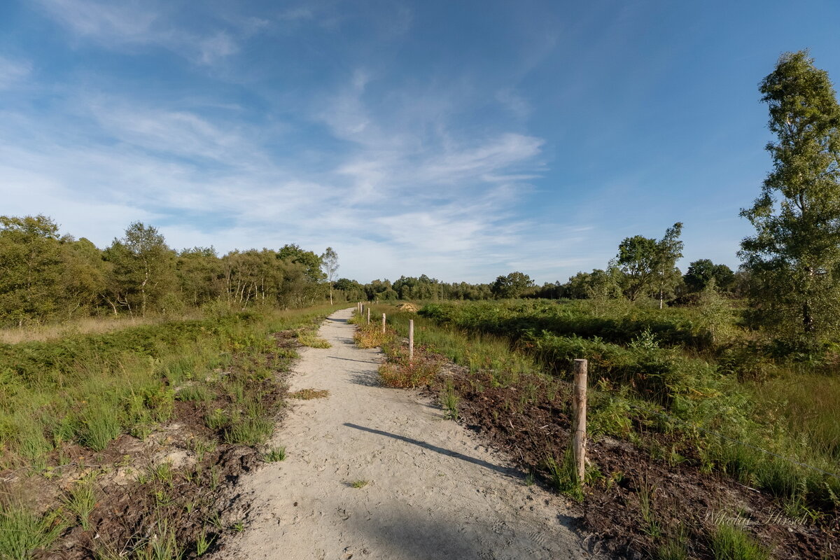 По экотропе... - Николай Гирш