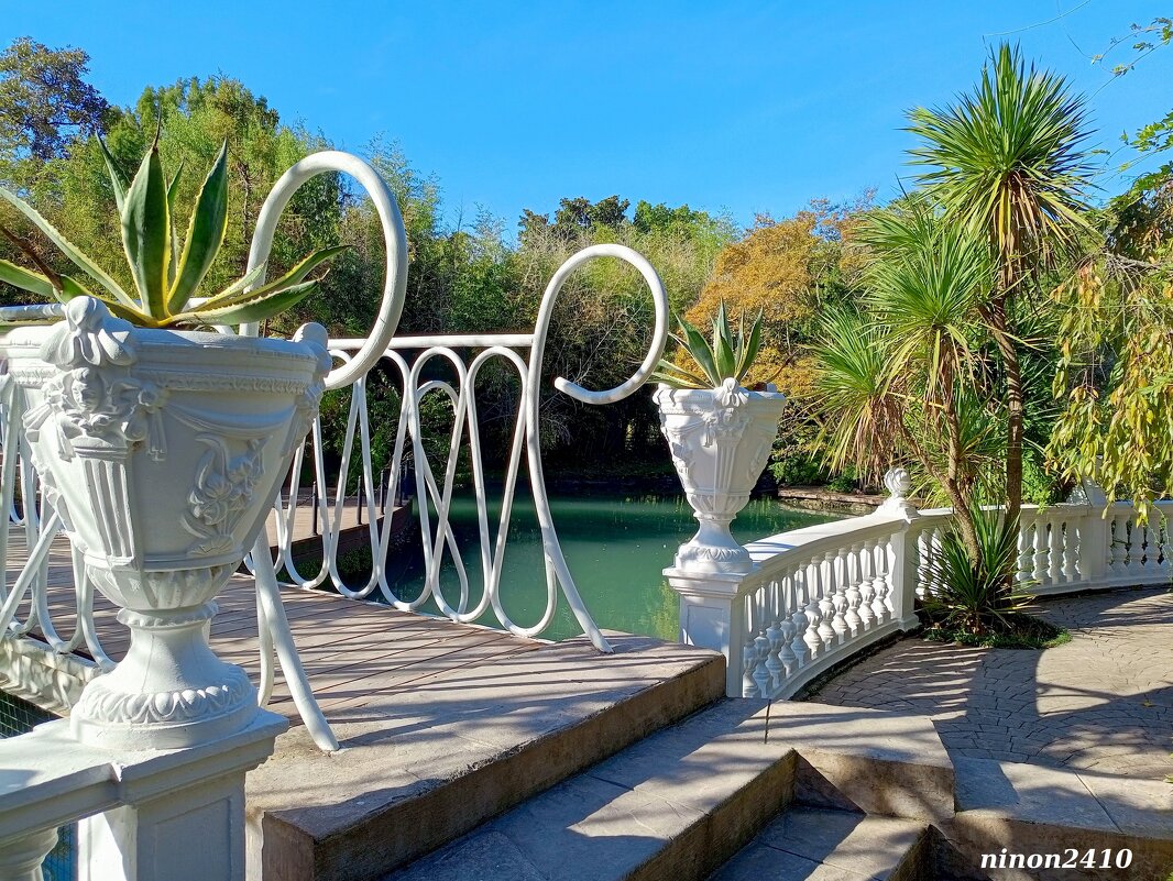 Адлер. Дендропарк "Южные культуры" - Нина Бутко Адлер. Дендропарк "Южные культуры" - Нина Бутко