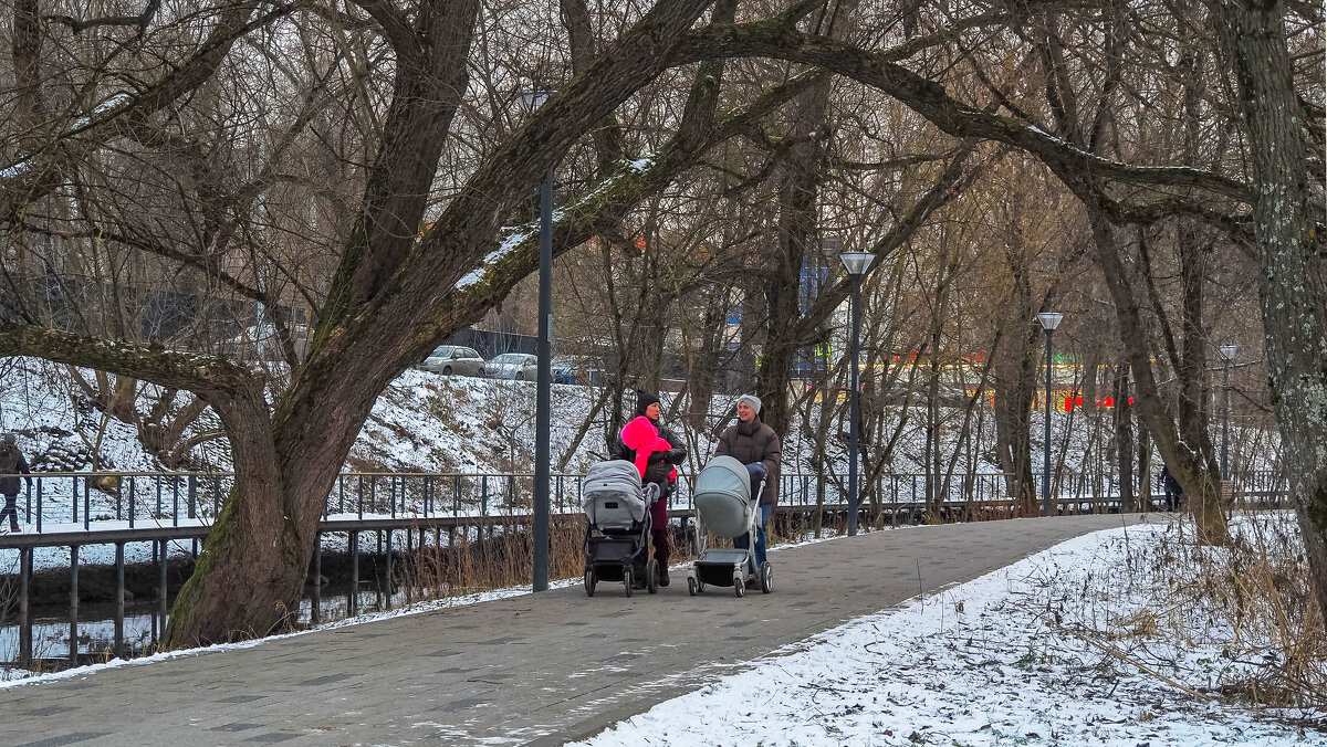По Зимнему Парку - юрий поляков