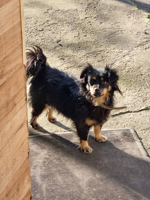 Доброе утро :) - Наталья 