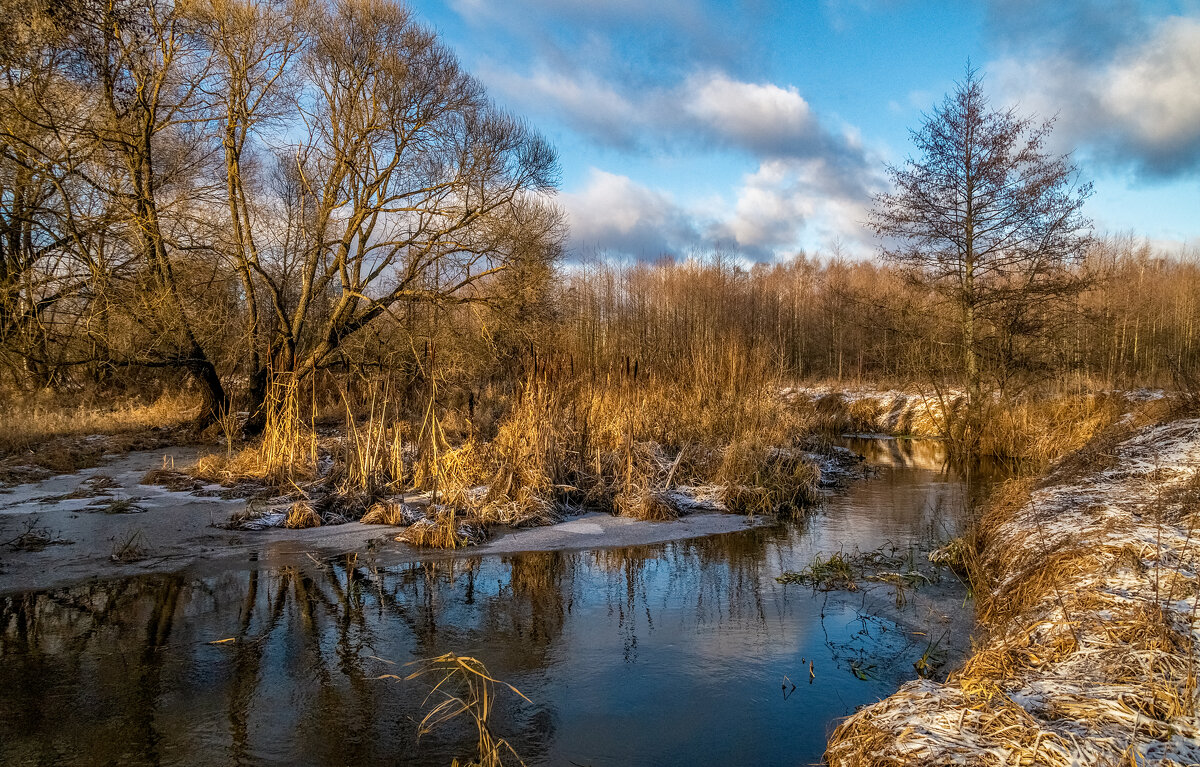 Подмосковный декабрь 3 - Андрей Дворников