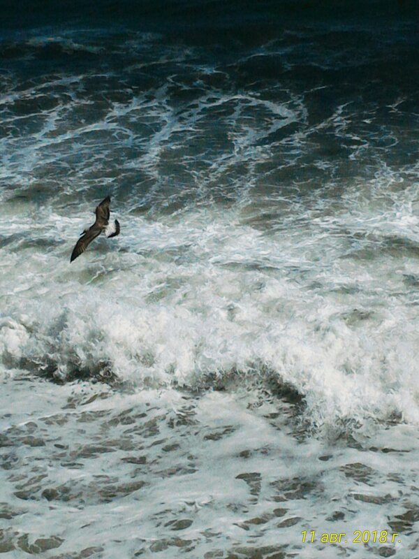 Стихия - Натали 