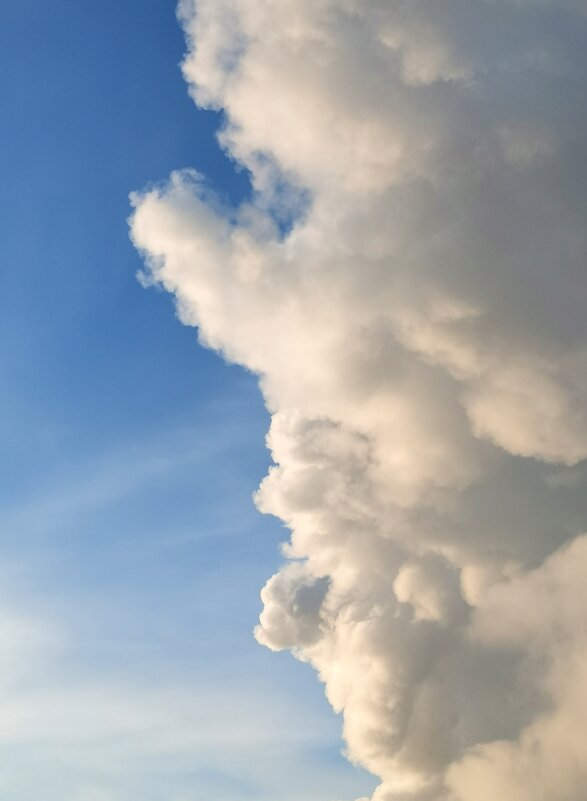 Небо о облако. Понедельник декабря. - Любимова Ольга Небо о облако. Понедельник декабря. - Любимова Ольга