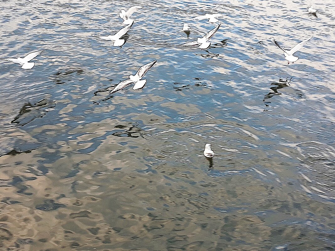 Осень в переливах перламутра - Hope Осень в переливах перламутра - Hope