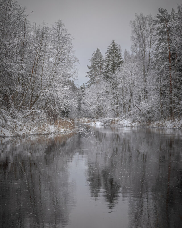**** - Елизавета .