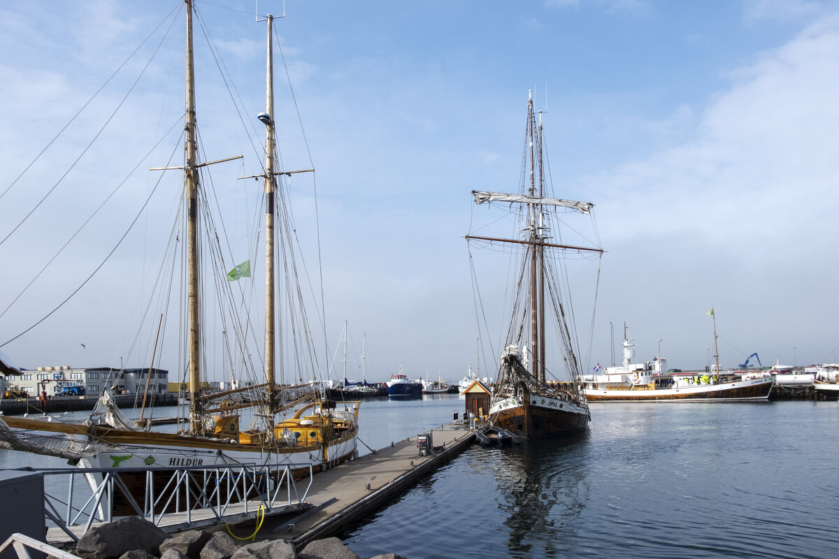 Island - Александр Липовецкий