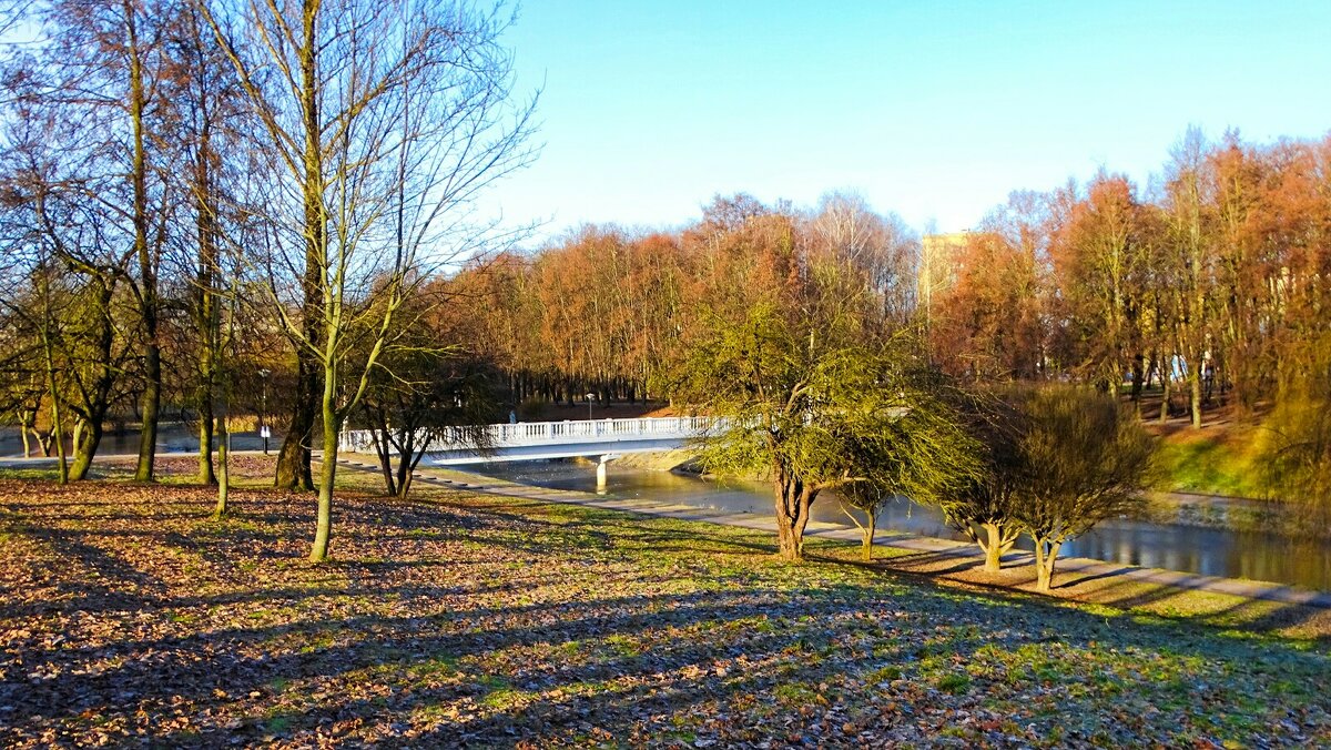 Смоленск в середине декабря. - Милешкин Владимир Алексеевич Смоленск в середине декабря. - Милешкин Владимир Алексеевич