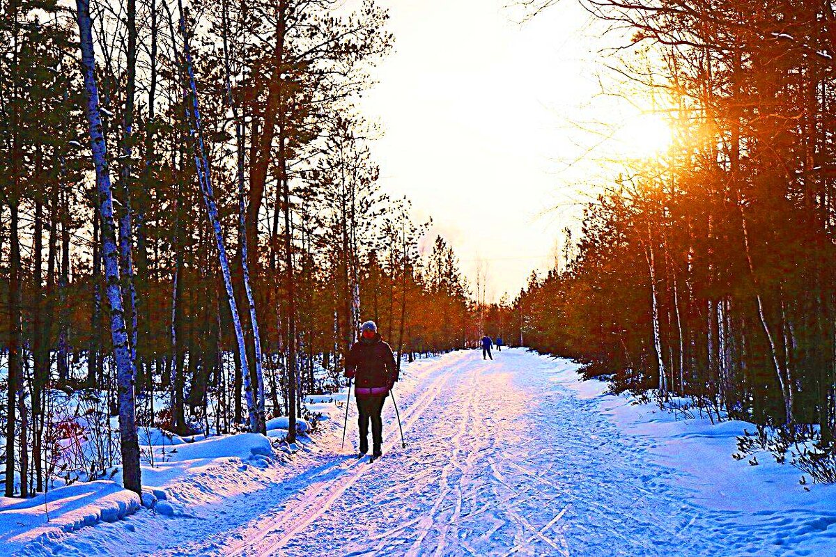 На лыжне в лучах зимнего светила! - Владимир 