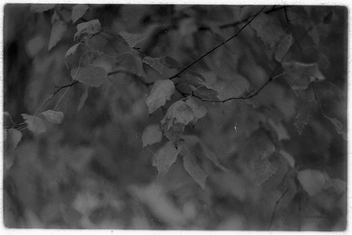 №123 - Alex Bes №123 - Alex Bes