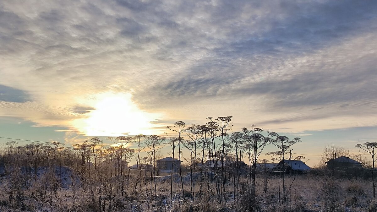 Пейзаж с "пальмами"! - Ольга 