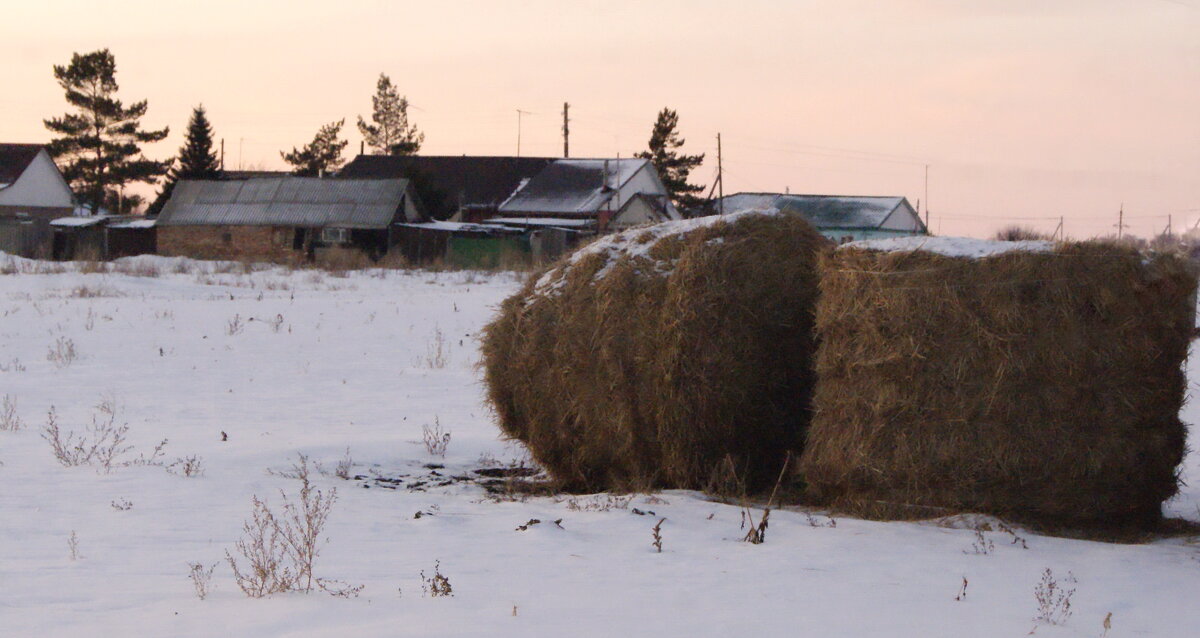 Сельская жизнь. - сергей ермошкин