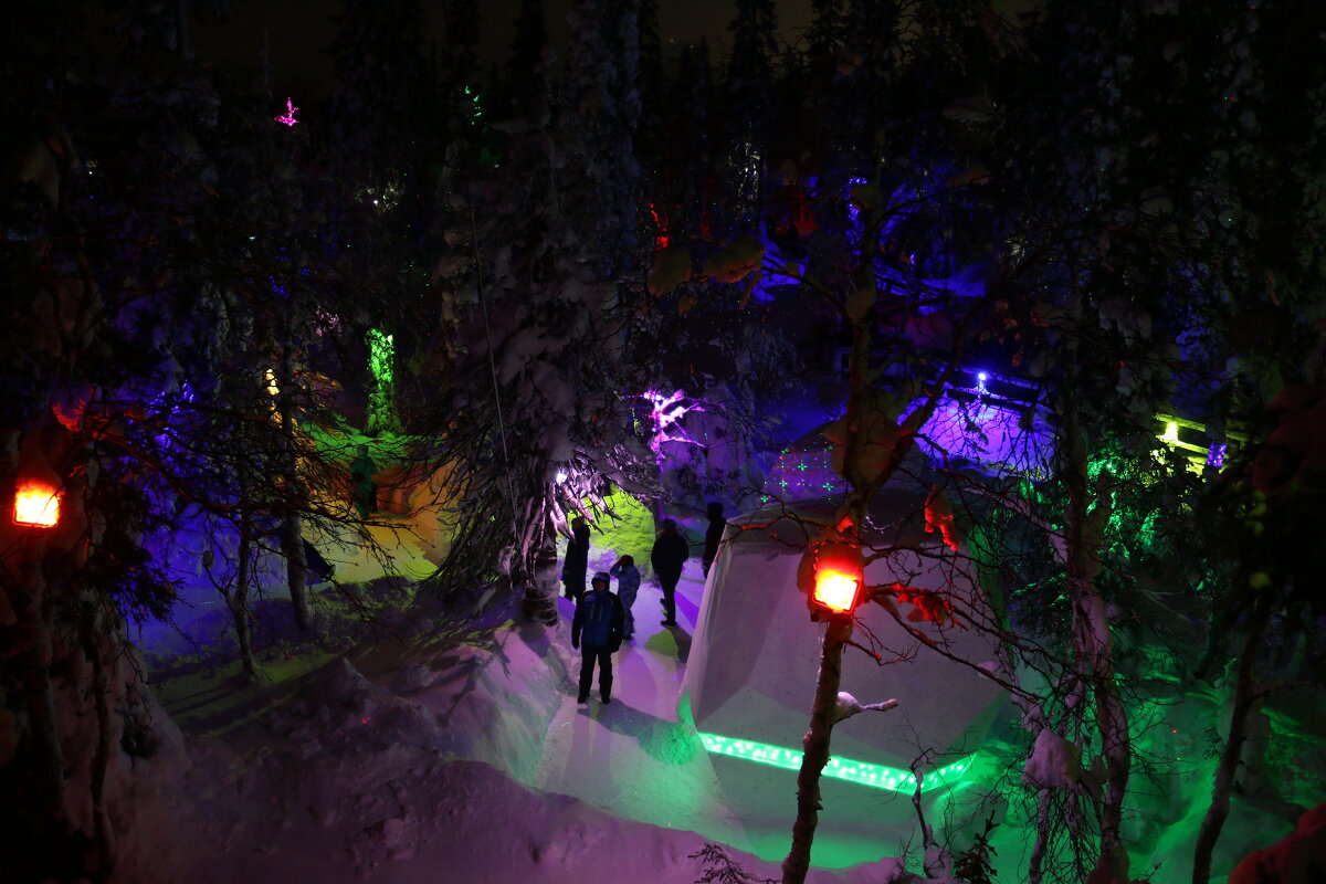 В таинственном лесу - Ольга 