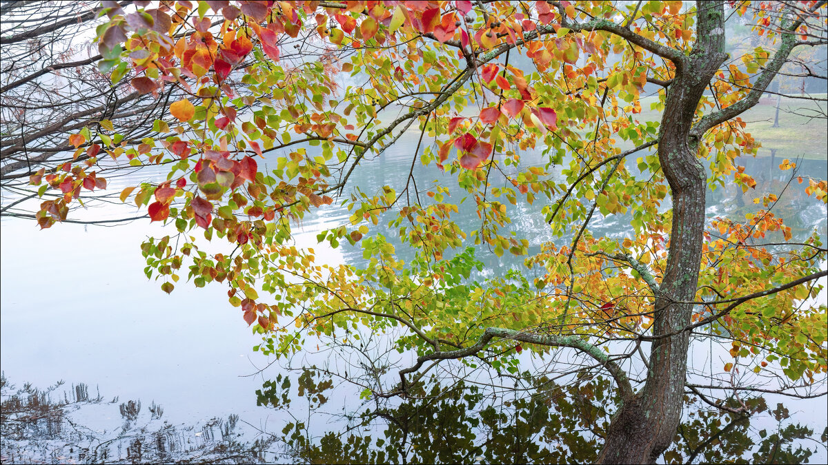 ***** - **** vedin ***** - **** vedin