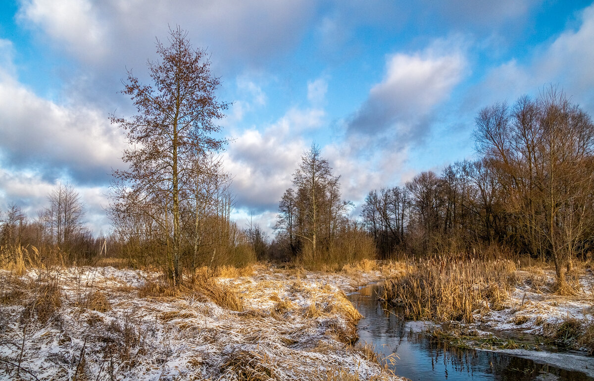 Подмосковный декабрь 4 - Андрей Дворников