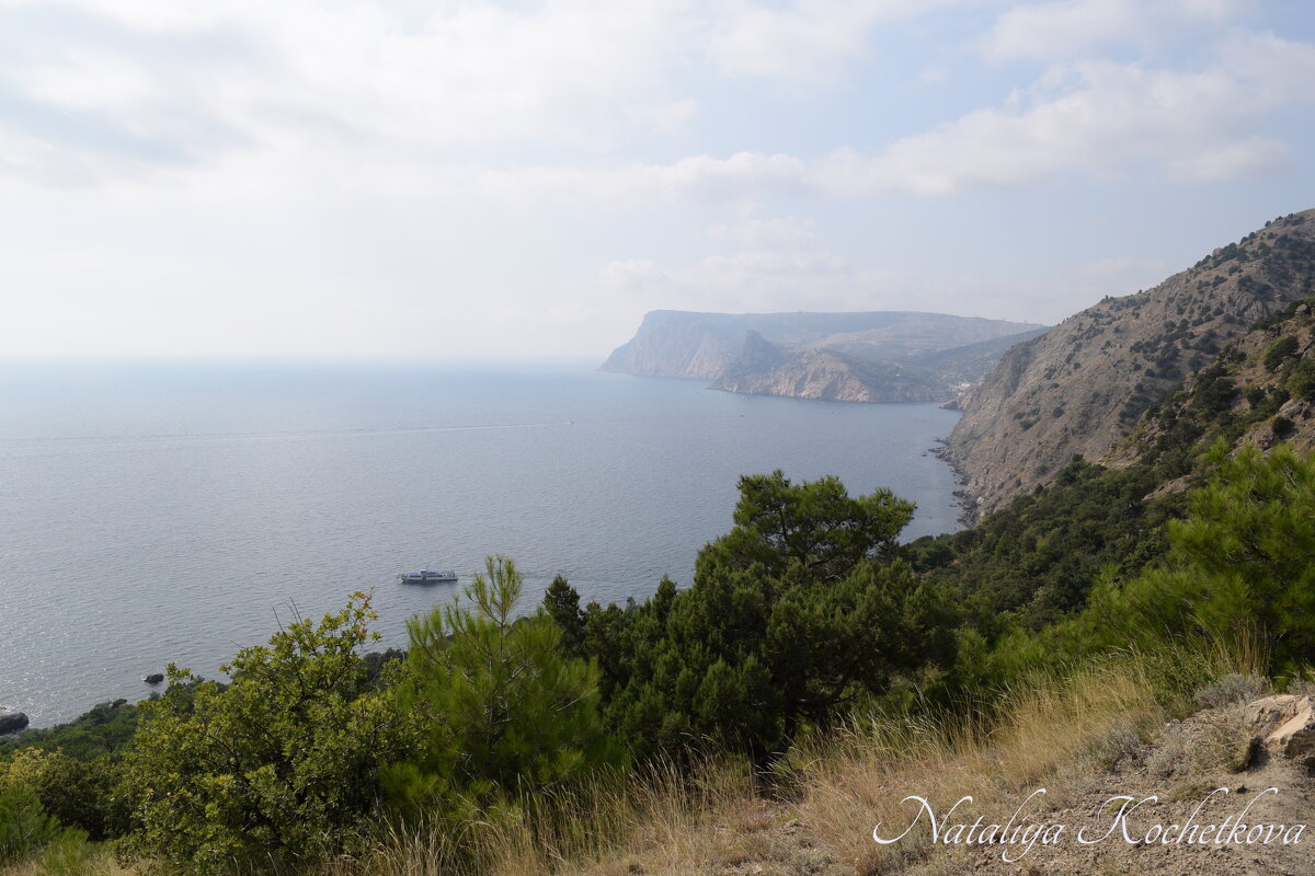 Природа Крыма - Amazing Cosmea Природа Крыма - Amazing Cosmea