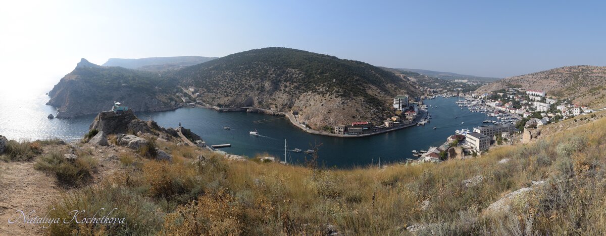 Природа Крыма - Amazing Cosmea Природа Крыма - Amazing Cosmea