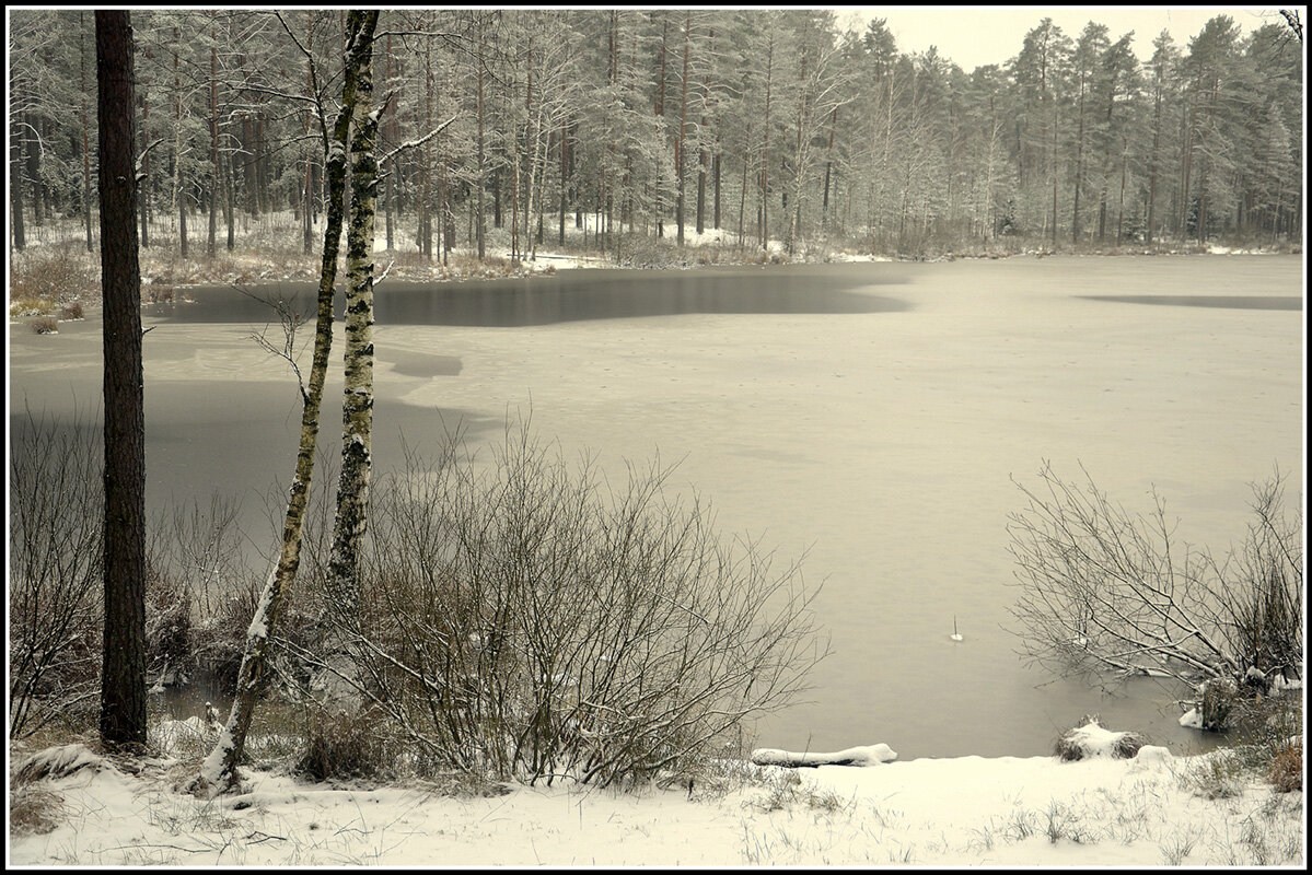 *** - Aleksandr Gal *** - Aleksandr Gal