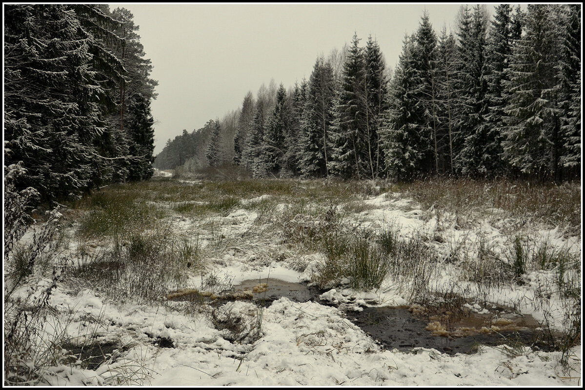 *** - Aleksandr Gal *** - Aleksandr Gal